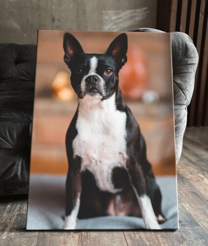 Картина Leonarto "бостон-терьер бостонский порода бостон терьер голубой собаки собака", 20 см х 30 см